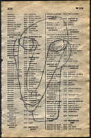 LIV79-339