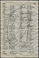 LIV79-436